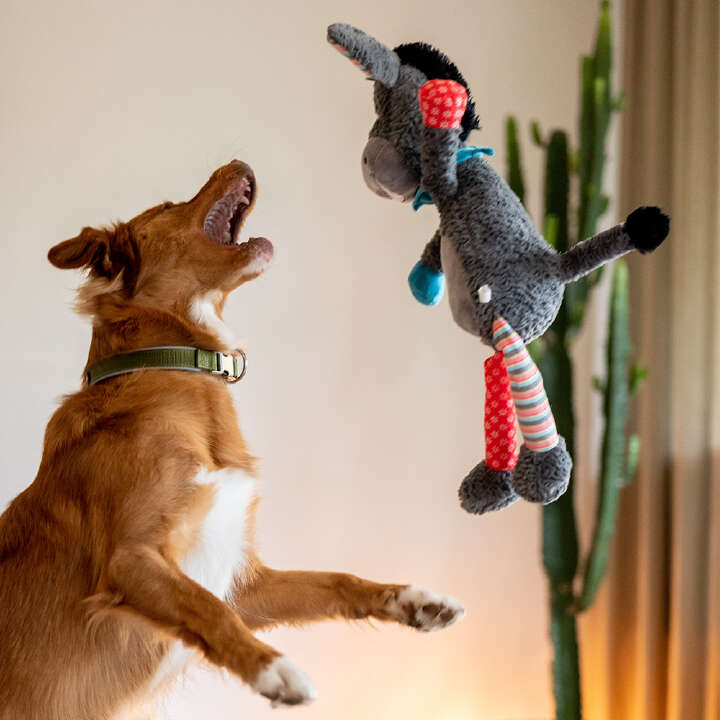 Nobby Plüschtier ESEL für Hunde